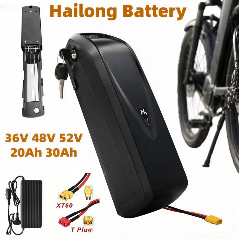 Ebike Battery 48V 20Ah Hailong - 다양한 크기의 전기자전거 배터리 하이롱 모델,